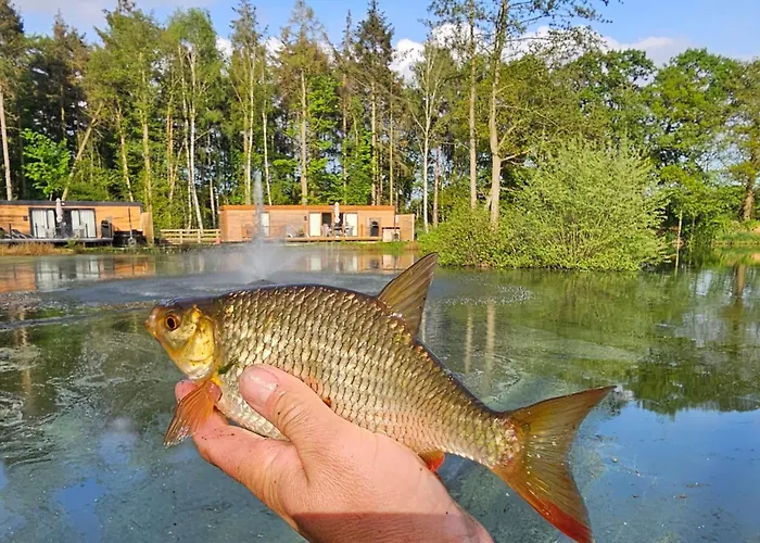 Cedar Boutique Lodge-Dog Fishing And Spa Access