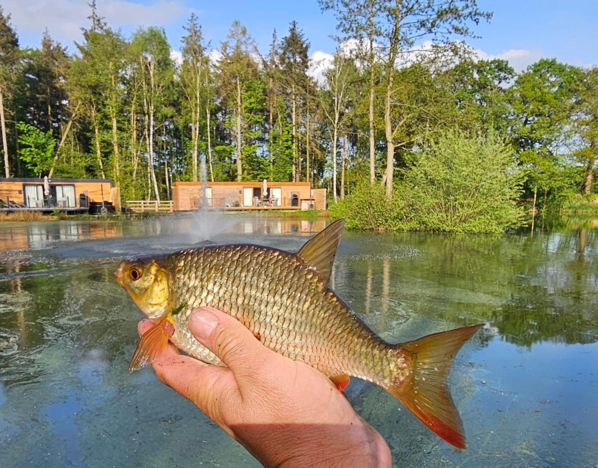 Дом отдыха Cedar Boutique Lodge-dog Fishing And Access Йорк